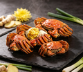Delicious & Fresh Live Crabs - A Gourmet Seafood Delight