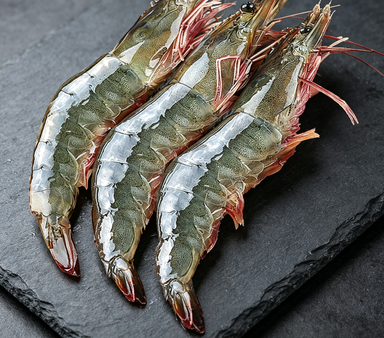 Fresh, Plump, and Pristine: Premium Whole Shrimp